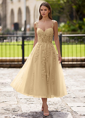 Zosia Champán Vestido midi de encaje con corte en A y espalda con cordones image1