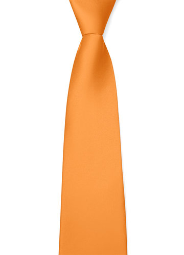 back_Gentlemen's Collection Matte Satin Wide Tie