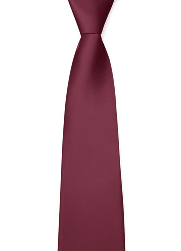 back_Gentlemen's Collection Matte Satin Wide Tie