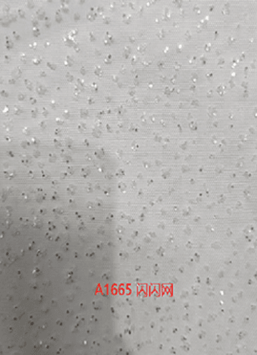 front_PP0423 A1665 闪闪网