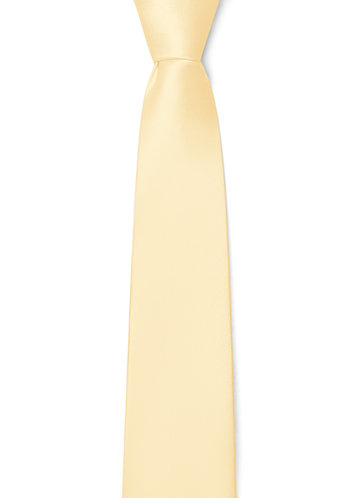 back_Gentlemen's Collection Matte Satin Skinny Tie