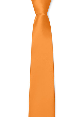 back_Gentlemen's Collection Matte Satin Skinny Tie