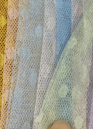 front_PP2089  网点花