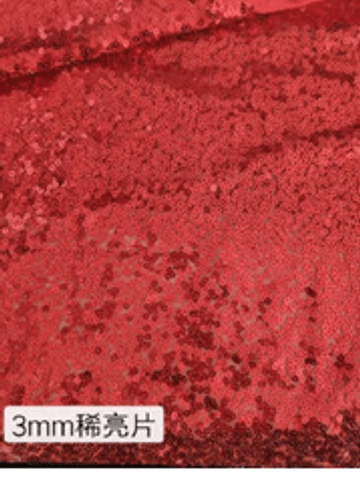 front_PP0491 稀亮片-3MM
