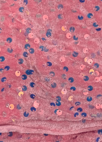 front_PP2090  丝绒绣亮片