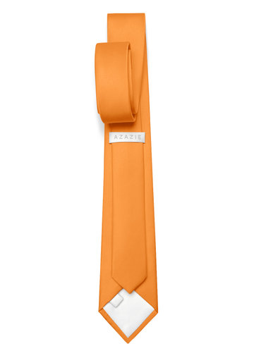 back_Gentlemen's Collection Boy's Matte Satin Neck Tie