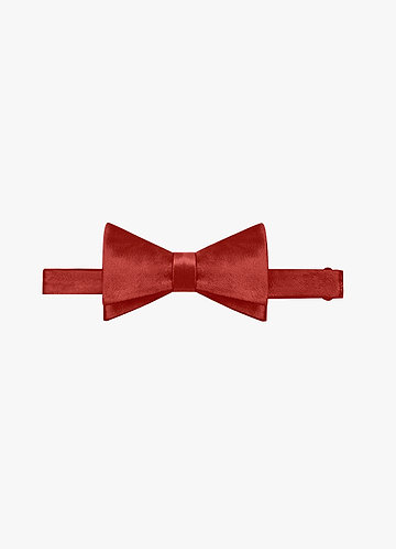 front Metallic Satin Bow Tie