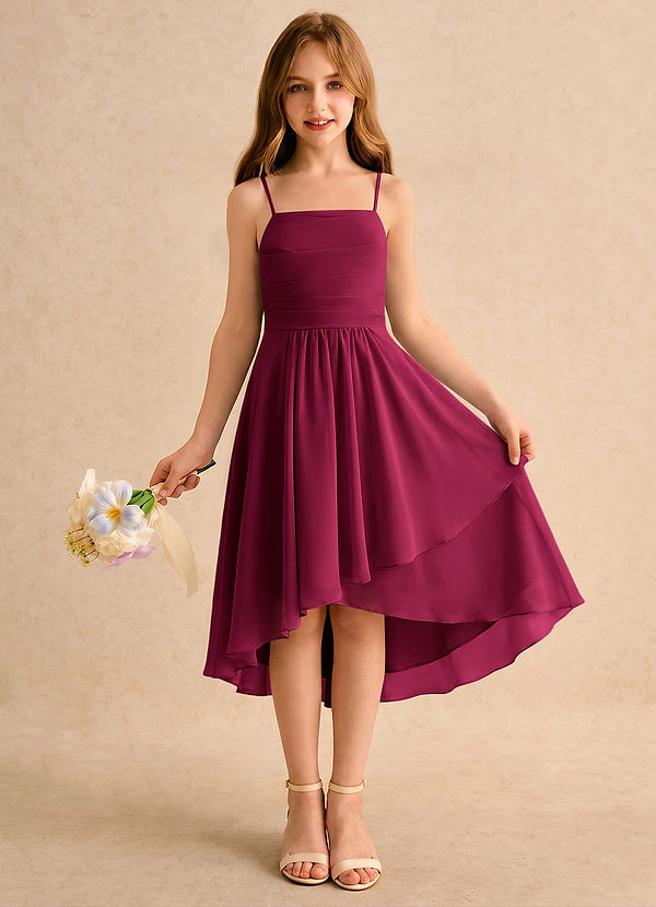 Azazie Twilight Dance Girls Formal Flower Girl Dresses Burgundy A-Line Pleated Chiffon Dress image1