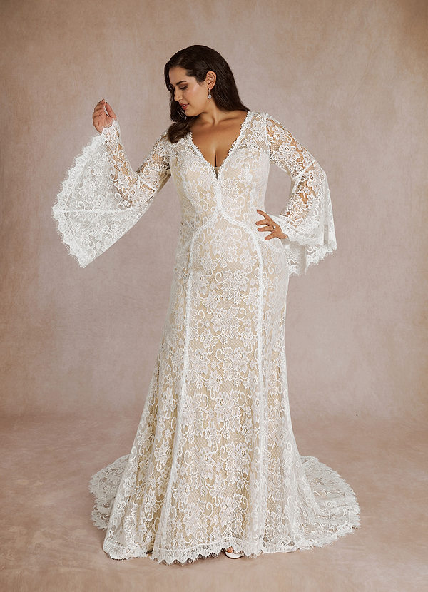 Azazie Hayes Wedding Dresses Diamond White Champagne Mermaid V-Neck Lace Dress image1