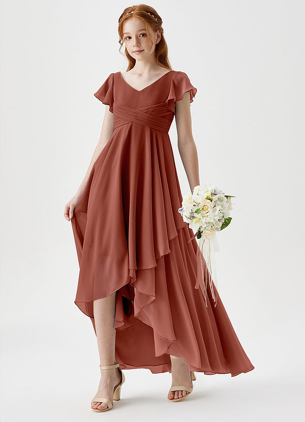 Azazie Caria Junior Auburn A-Line Pleated Chiffon Dress image1