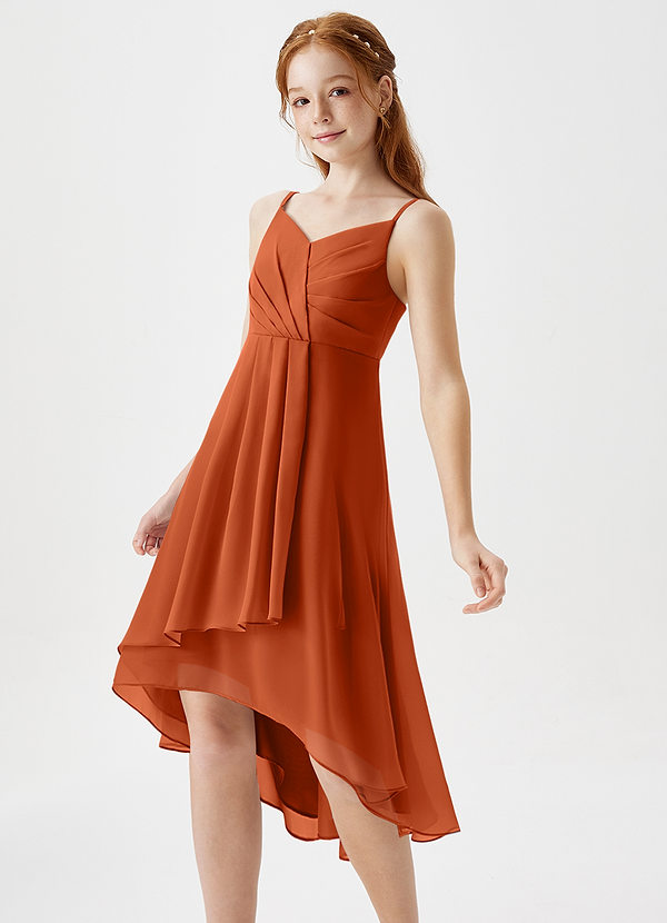 Azazie Mariam Junior Burnt Orange A-Line Pleated Chiffon Dress image1