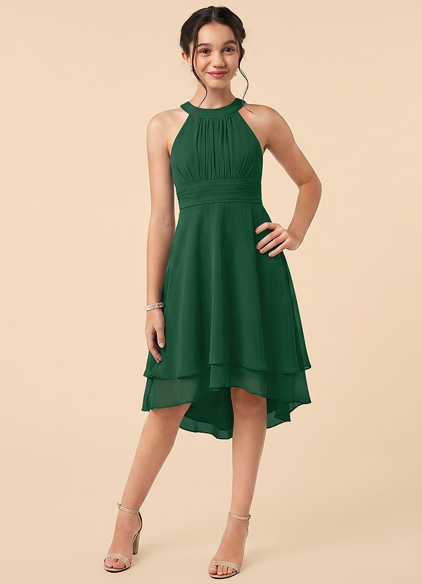 Azazie Linna Junior Dark Green A-Line Pleated Chiffon Dress image1