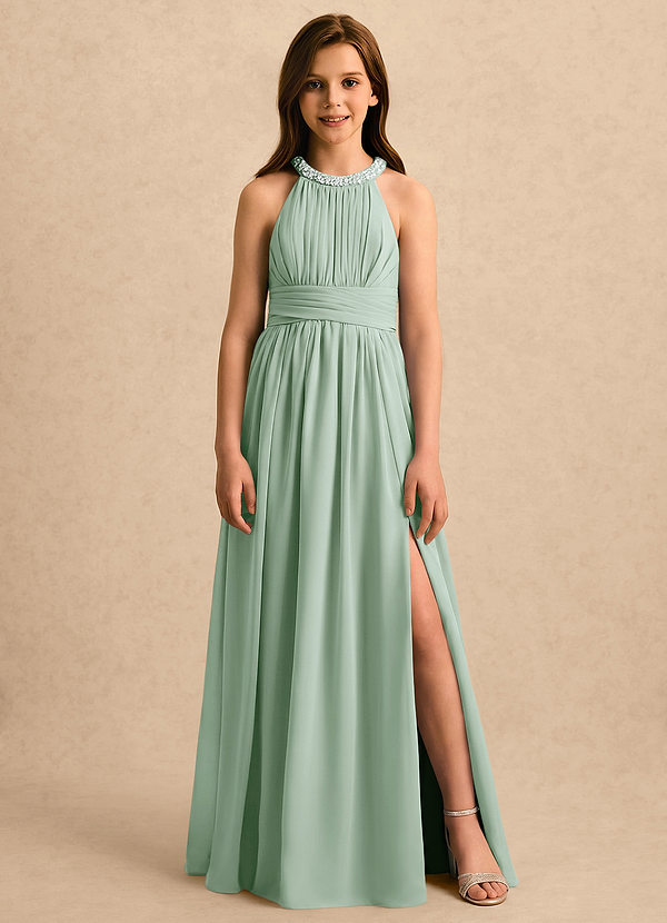 Azazie Aria Girls Formal Blommflicksklänningar Klänning A-Line i Chiffong Plisserad image1