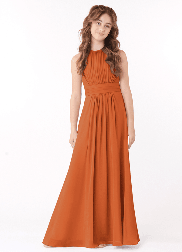 Azazie Bonnie Junior Cinnamon A-Line Pleated Chiffon Dress image1