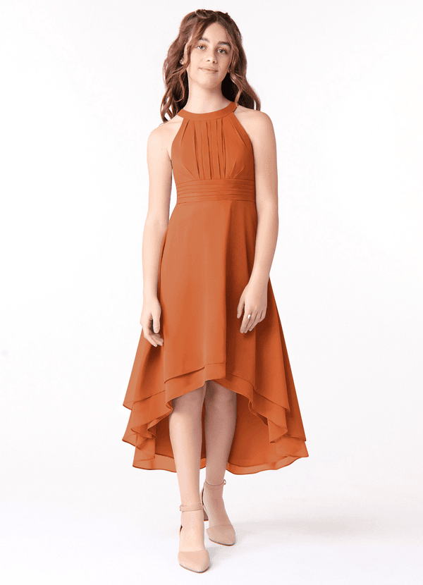 Azazie Linna Junior Cinnamon A-Line Pleated Chiffon Dress image1