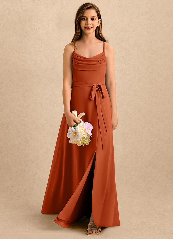Azazie Jasslyn Girls Formal Sukienki dla dziewczynek sypiących kwiaty Linia A Pofałdowany Szyfon Długość podłogi Sukienka image1
