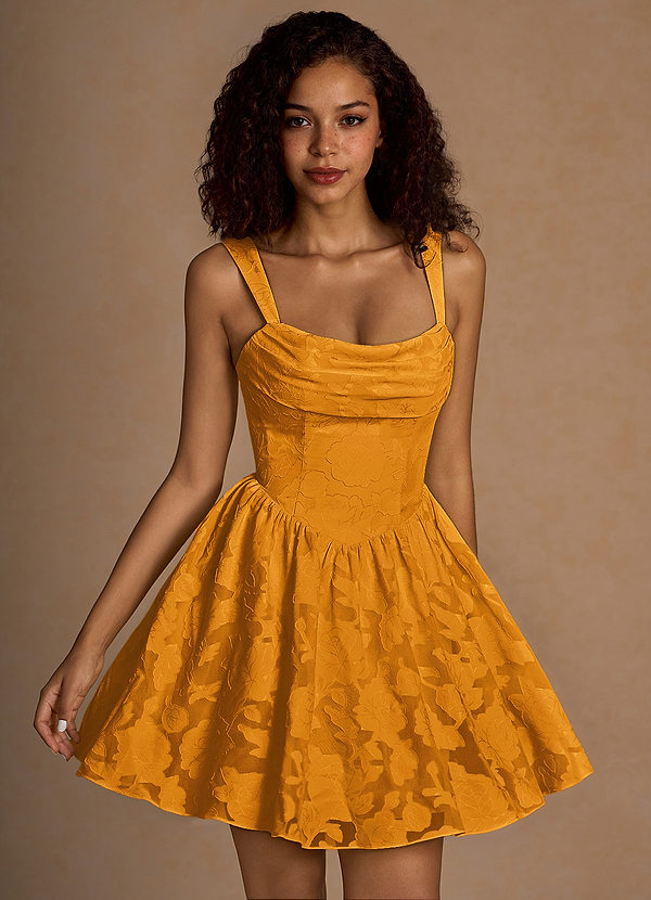 Ivy Butterscotch Mini Dress image1