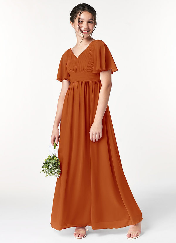 Azazie Temeka Junior Paprika A-Line Pleated Chiffon Dress image1