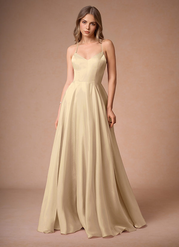 Vestido Champán Largo Faustin image1