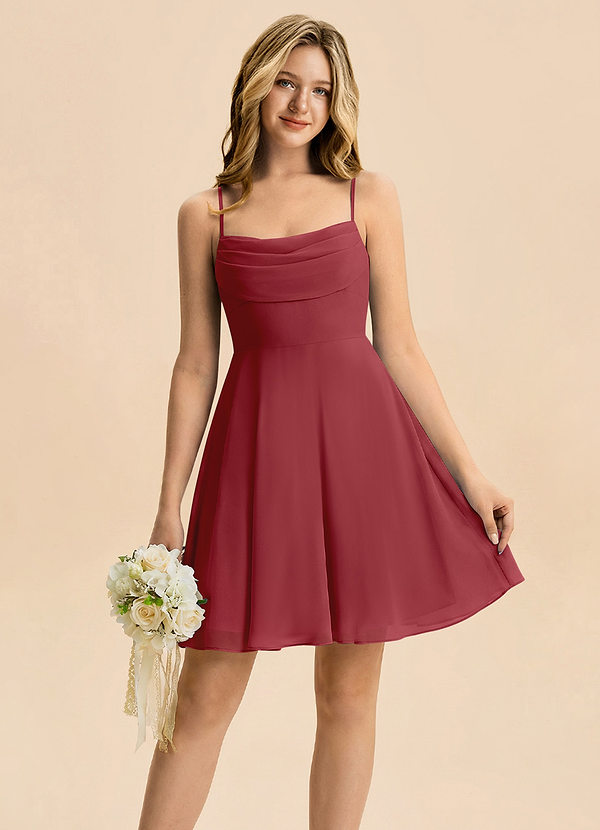 Azazie Bear Junior Pomegranate A-Line Pleated Chiffon Dress image1