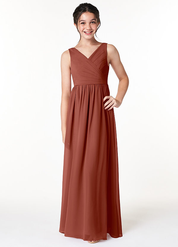 Azazie Sawyer Junior Auburn A-Line Pleated Chiffon Dress image1