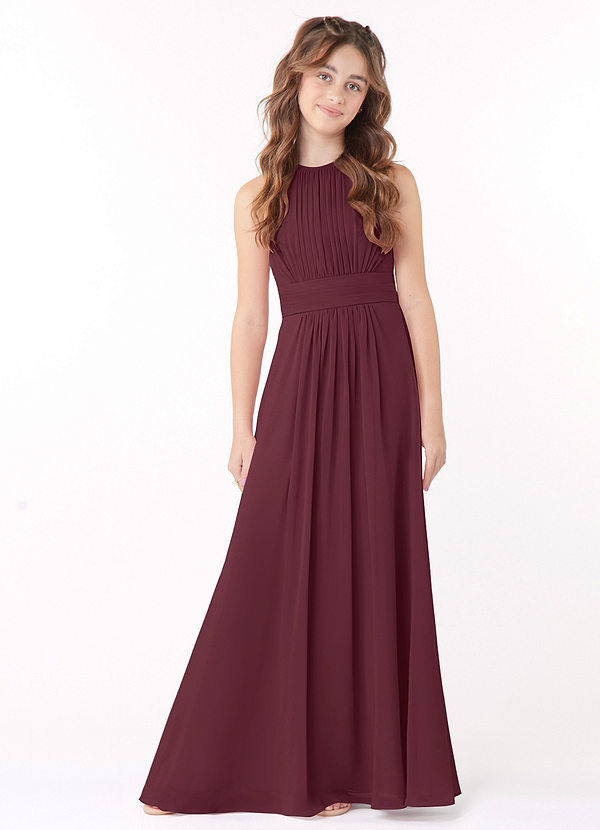 Azazie Bonnie Junior Cabernet A-Line Pleated Chiffon Dress image1