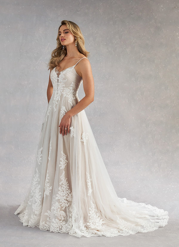 Avarie A-Line Sequins Tulle Dress