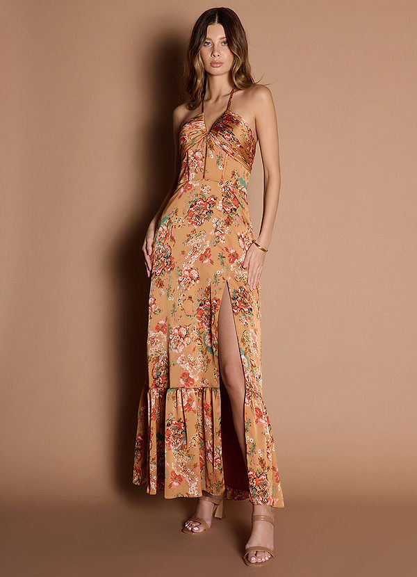 Lainey Sienna Multi Maxi Dress image1