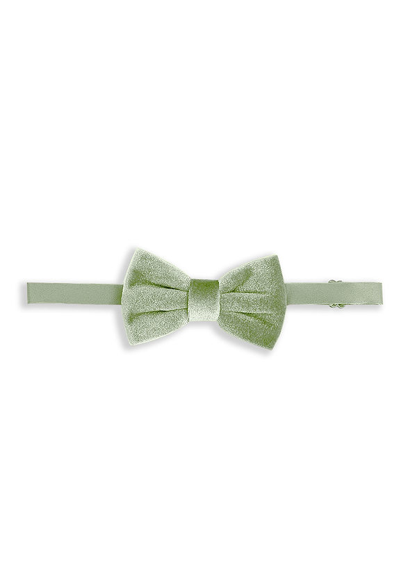 front Boy's Adjustable Velvet Pre-Tied Bow Tie