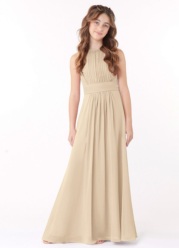 Azazie Bonnie Junior Champagne A-Line Pleated Chiffon Dress image1