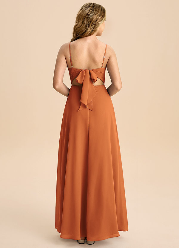 Azazie Shale Junior Cinnamon A-Line Bow Chiffon Dress image1