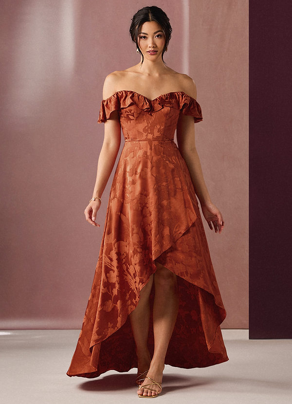 Isabella Rust Maxi Dress image1