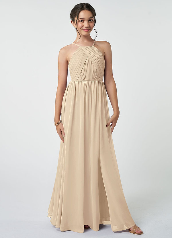 Azazie Leighton A-Line Pleated Chiffon Floor-Length Junior Bridesmaid Dress image1