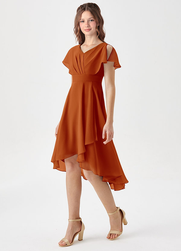 Azazie Graciela Junior Paprika A-Line Pleated Chiffon Dress image1