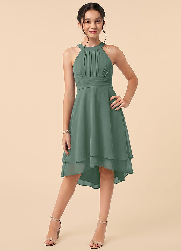 Azazie Linna Junior Eucalyptus A-Line Pleated Chiffon Dress image1