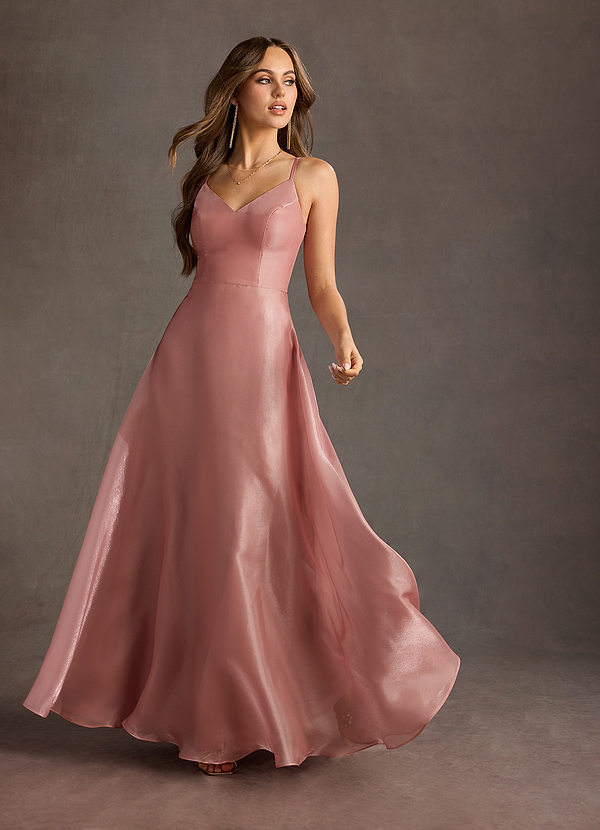 Emilia Powder Pink Gown image1