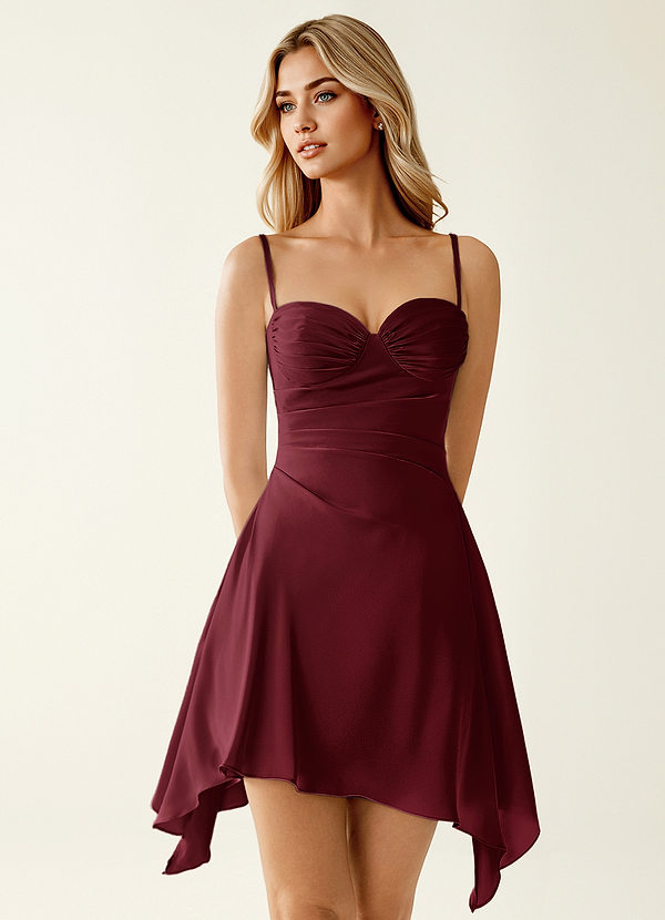Avanlin Wine Ruffles Mini Dress image1
