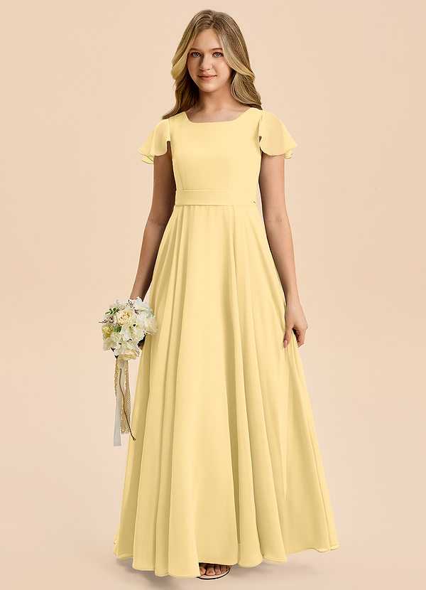 Cady Junior Butter A-Line Pleated Chiffon Dress image1