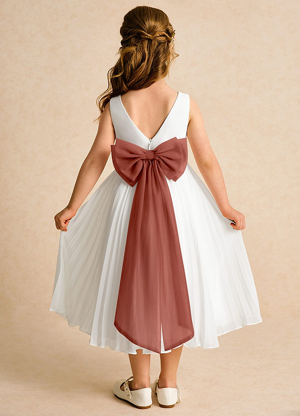 Azazie Margot Flower Girl Dresses Ivory Auburn A-Line Pleated Chiffon Dress image1