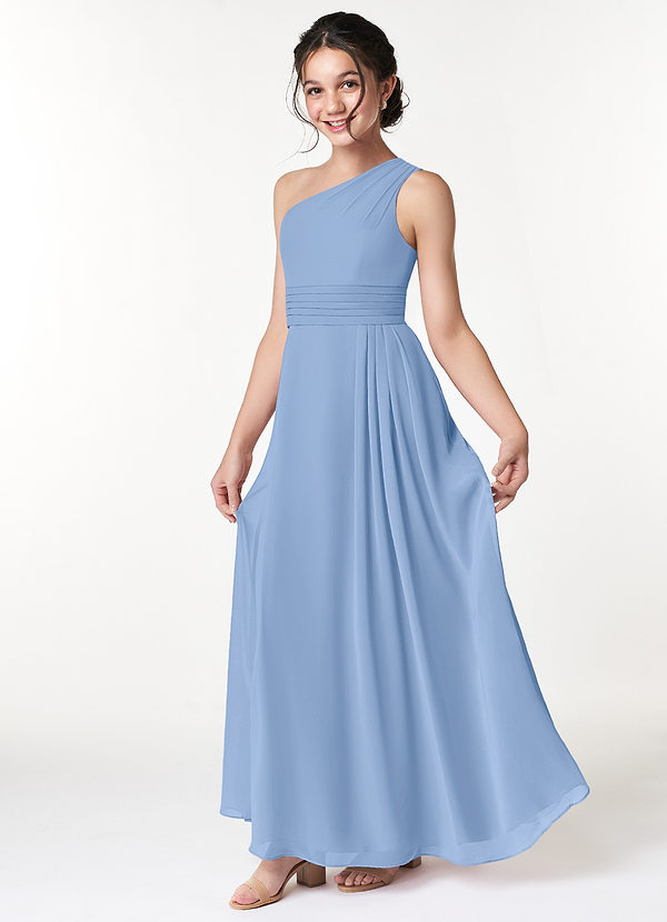 Azazie Cleo Steel Blue A-Line Pleated Chiffon Dress image1