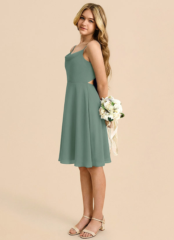 Azazie Shale Klä av A-Line i Chiffong Rosett image1