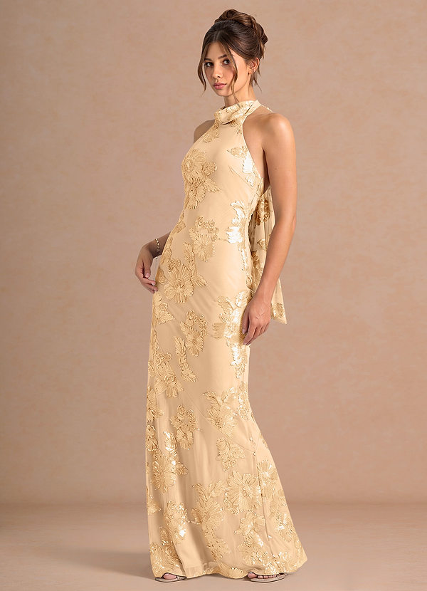 Dillon Lemon Sorbet Maxi Dress image1