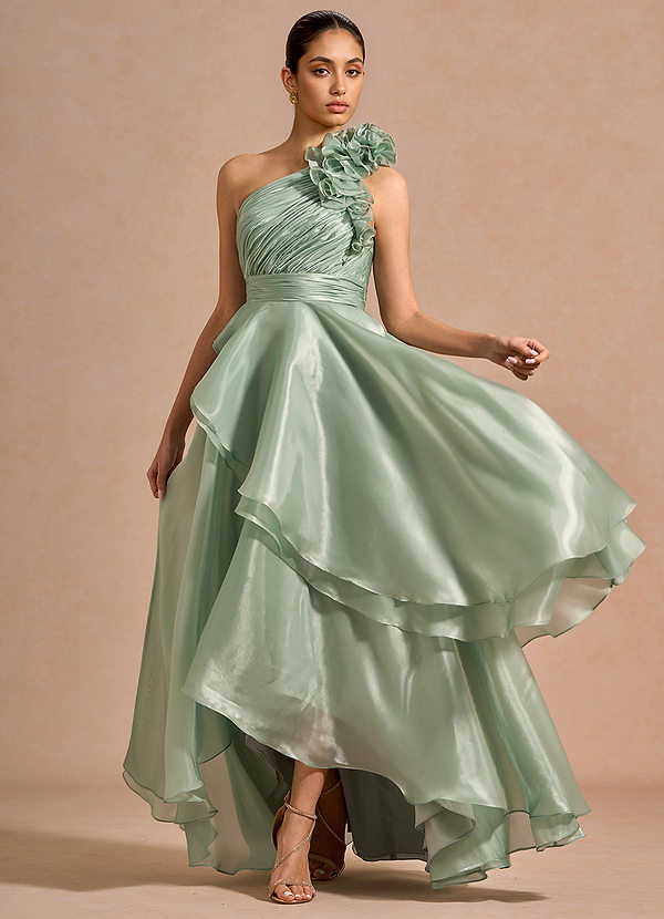 Ieena Sage Maxi Dress image1