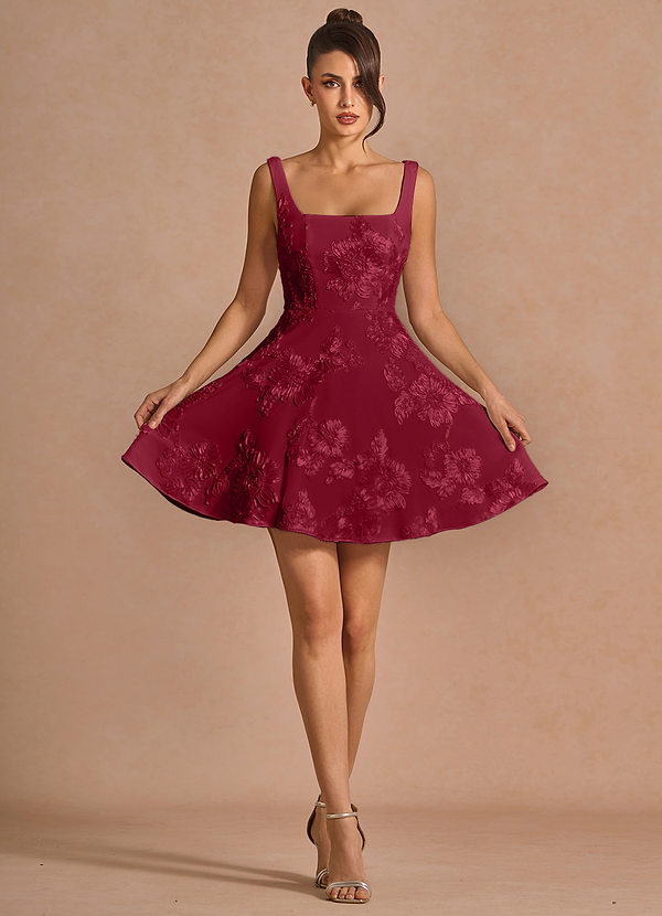 Brynn Burgundy Mini Dress image1