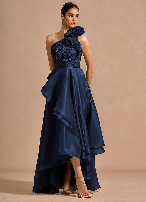 Ieena Navy Maxi Dress image1