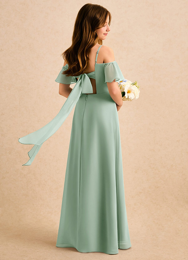 Azazie Robyn Girls Formal Sukienki dla dziewczynek sypiących kwiaty Linia A Dekolt w kształcie serca Szyfon Długość podłogi Sukienka image1