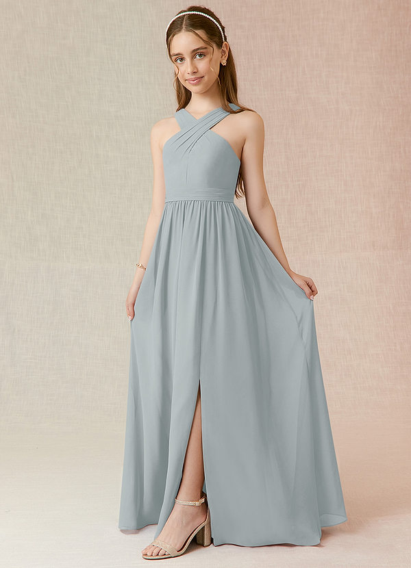 Azazie Jiya Junior Dolphin Grey A-Line Pleated Chiffon Dress image1