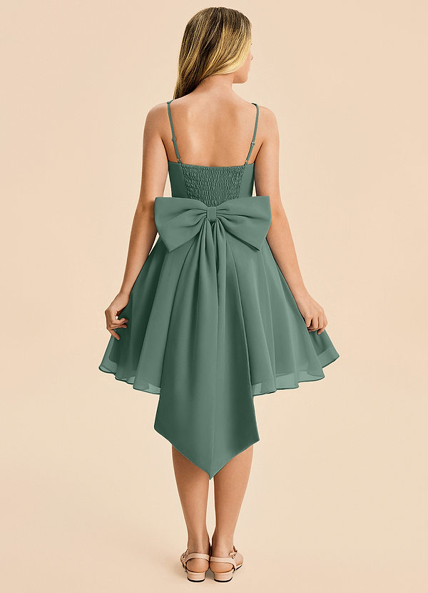Arie Junior Sea Moss A-Line Ruched Chiffon Dress image1
