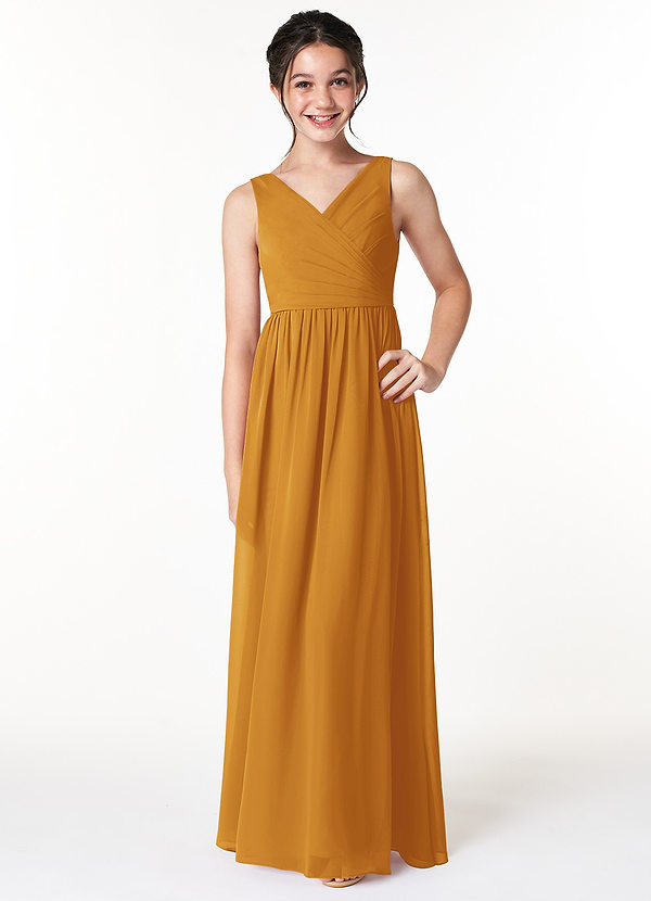 Azazie Sawyer Junior Butterscotch A-Line Pleated Chiffon Dress image1