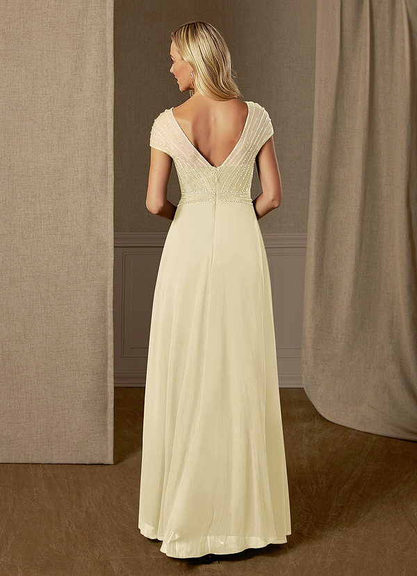 back Azazie Star Mother of the Bride Dress